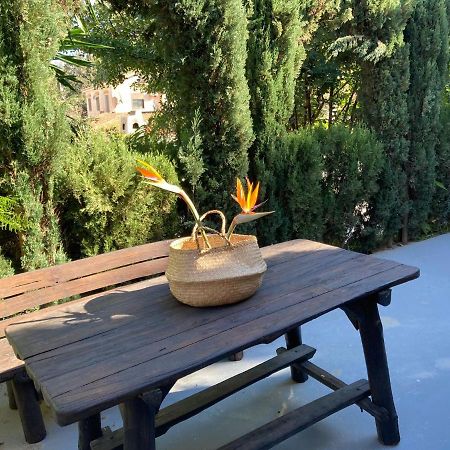Estudio Pedregalejo Garden Malaga Zewnętrze zdjęcie
