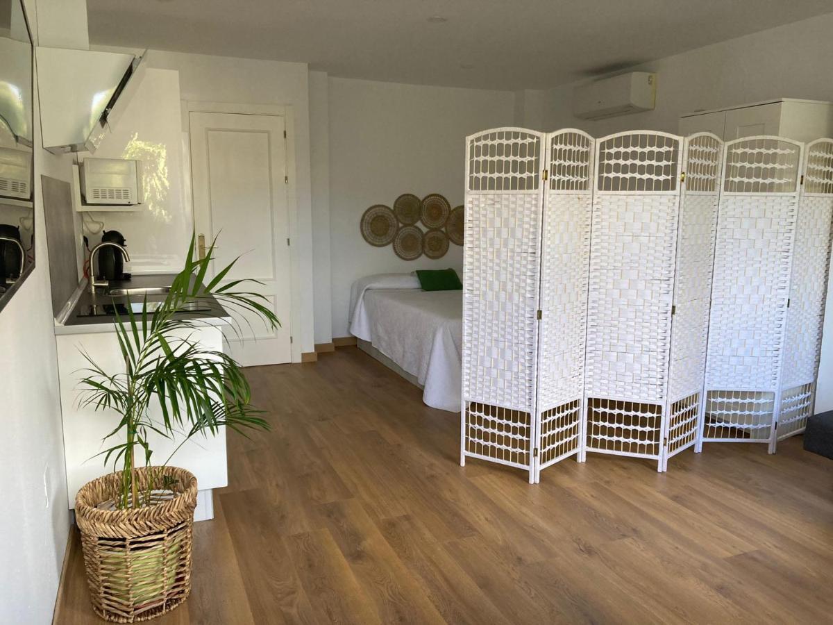 Estudio Pedregalejo Garden Malaga Zewnętrze zdjęcie