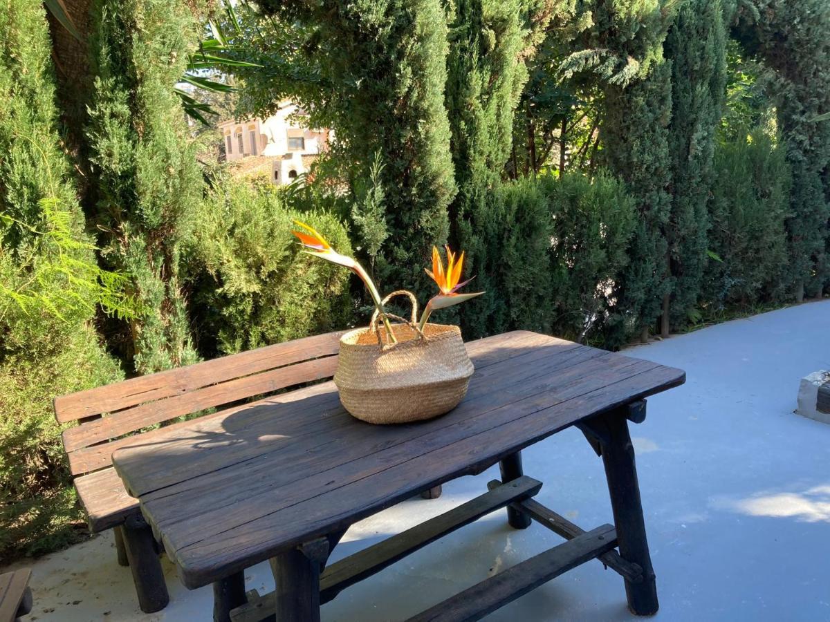 Estudio Pedregalejo Garden Malaga Zewnętrze zdjęcie